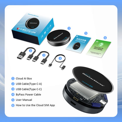 Cloud AI Box
